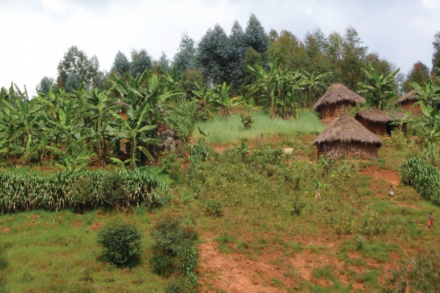 Habitat traditionnel vers Banga. Julia GASQUET