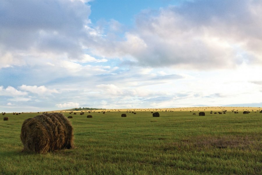 Paysage pastoral dans la steppe de Khakassie. Khakassia Tourist Information Centre