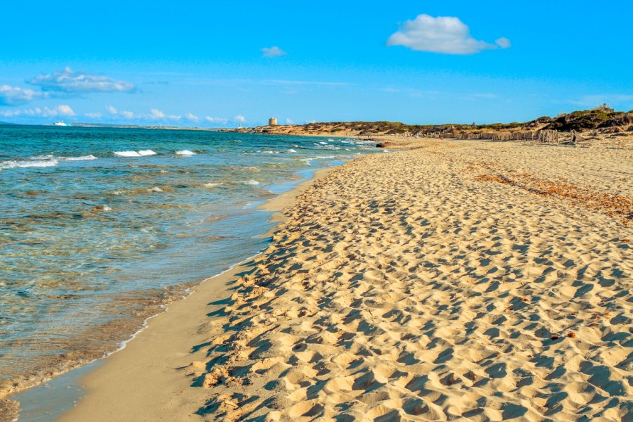 Plage d'Es Cavallet. nito
