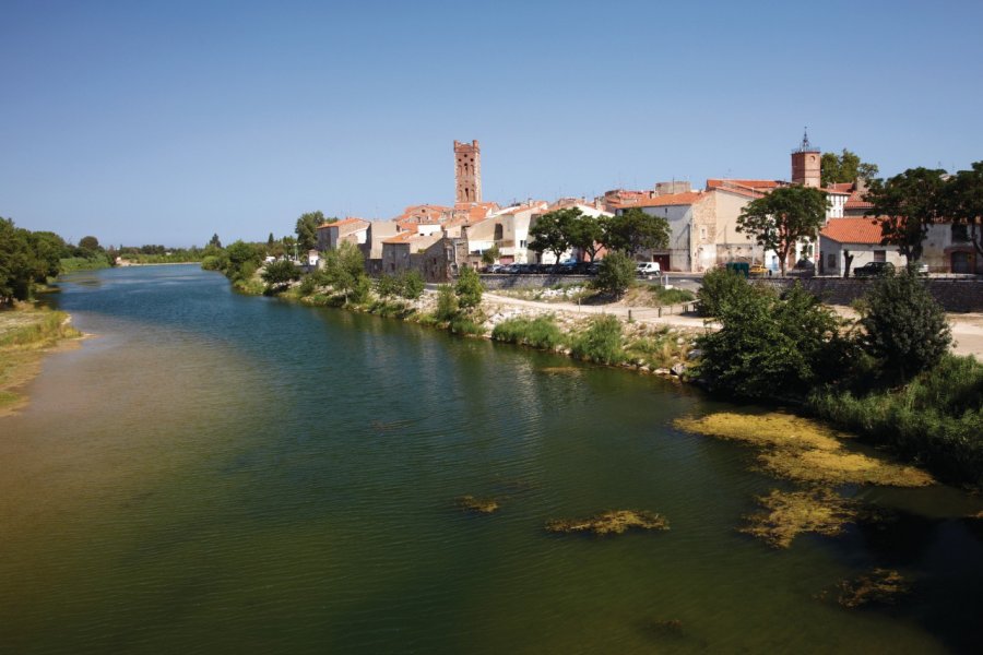 Rivesaltes Thelinke - iStockphoto.com