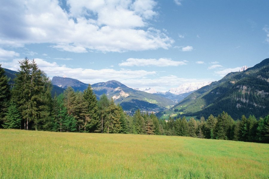 Val di Sella. Author's Image