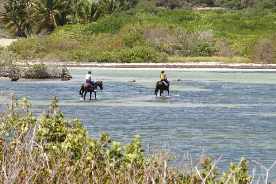 Balade à cheval. Gilles MOREL