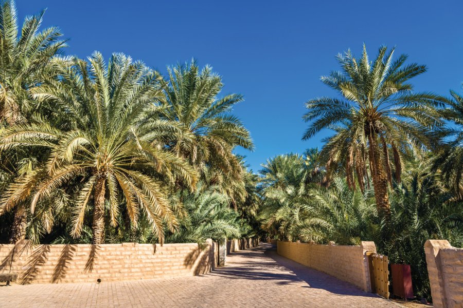 L'oasis Al Ain,émirat d'Abu Dhabi. Leonid Andronov - iStockphoto.com