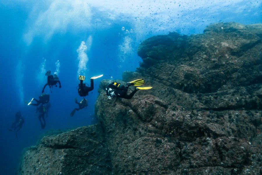 Plongée sous-marine dans la province de Girona. Tamara Pintado - Shutterstock.com