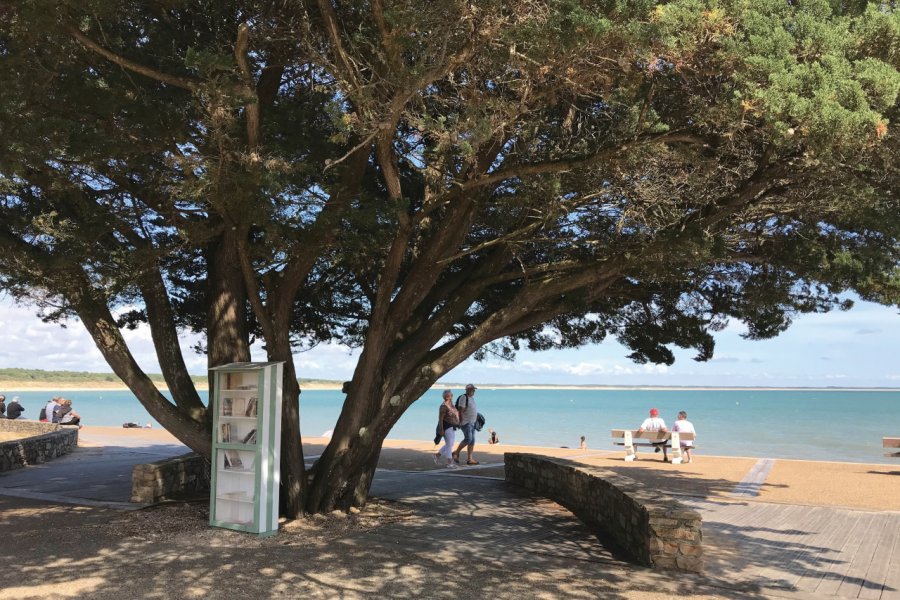 Promenade plage de St-Vincent sur Jard. Linda CASTAGNIE