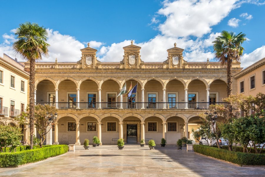 Place de la constitution à Guadix. milosk50 - Shutterstock.com