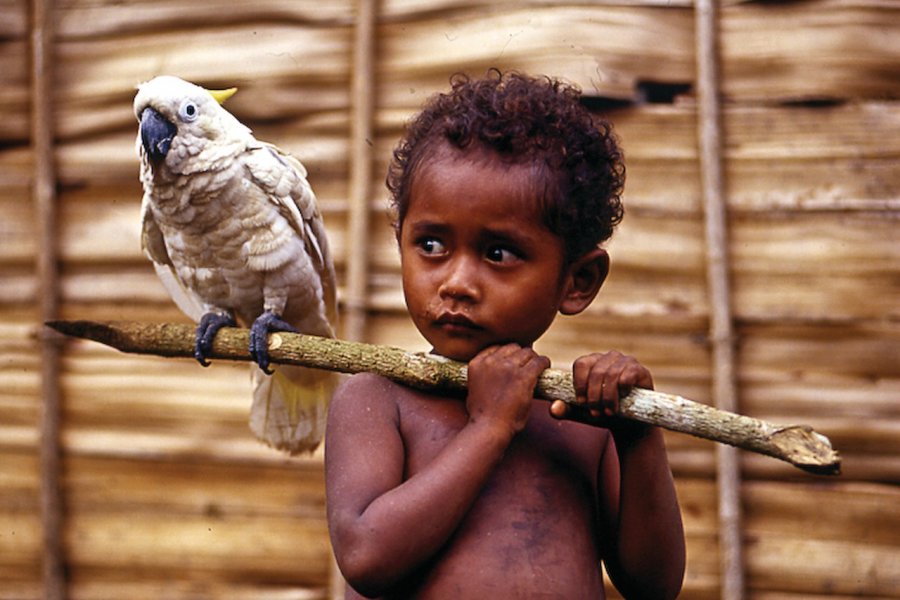 Enfant et son cacatoès. Philippe Gigliotti