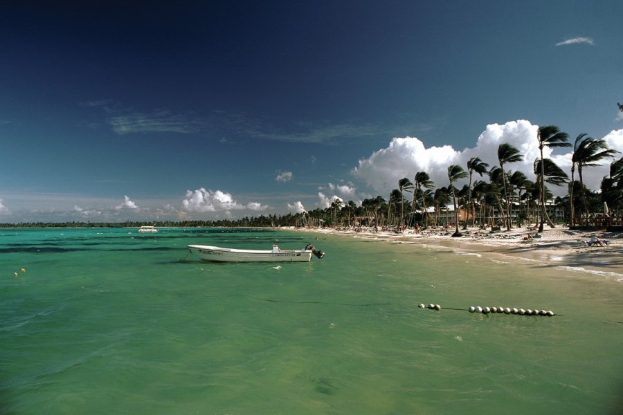 Playa Bavaro, longue plage bordée de cocotiers. Author's Image