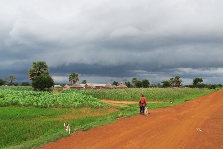 Route vers Nano. Agathe Andrieu