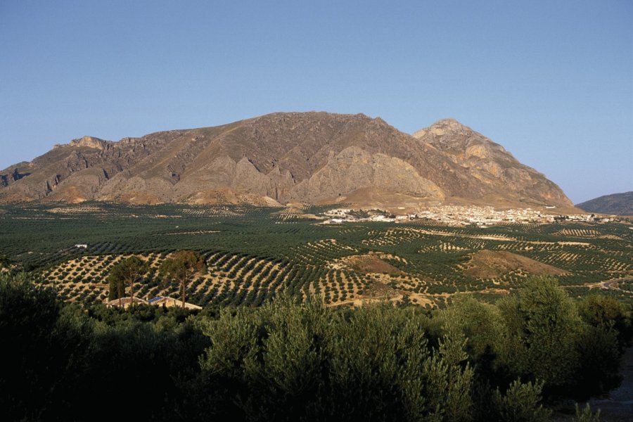 Paysage des environs de Jodar. Author's Image