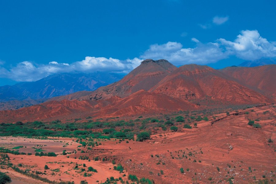 Quebrada de Cafayate. Alamer - Iconotec