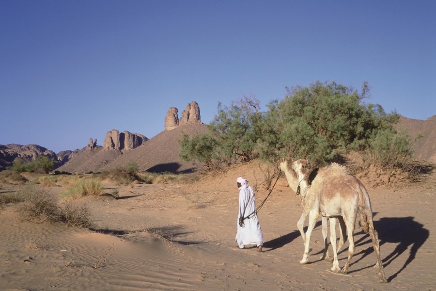 Chamelier touareg Ismaël Schwartz - Iconotec