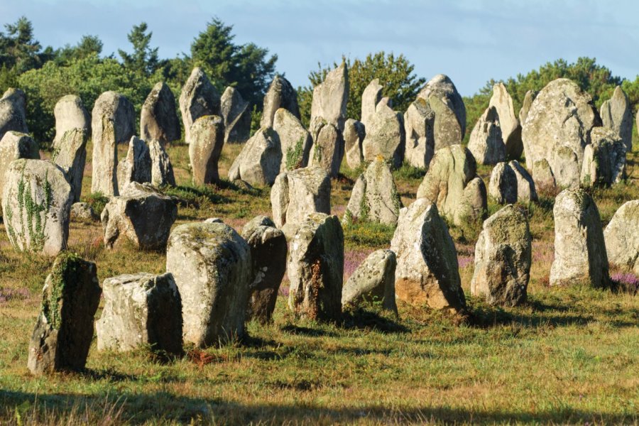 Mégalithes de Carnac. Smithore