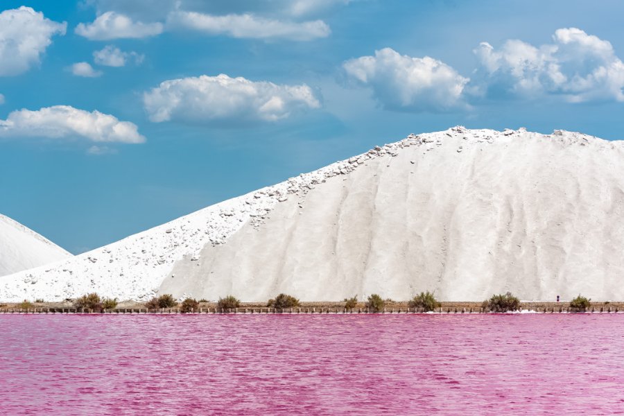 Le salin d'Aigues-Mortes fournit 500 000 tonnes de sel par an. (© shutterstock.com -Pascale Gueret))