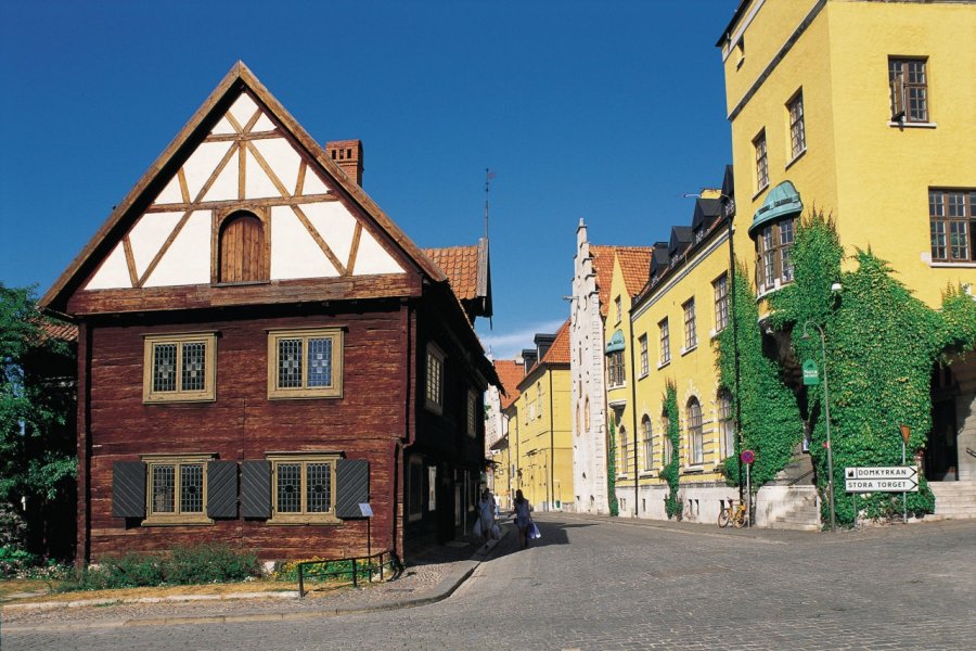 Gotland, Visby. Alamer - Iconotec