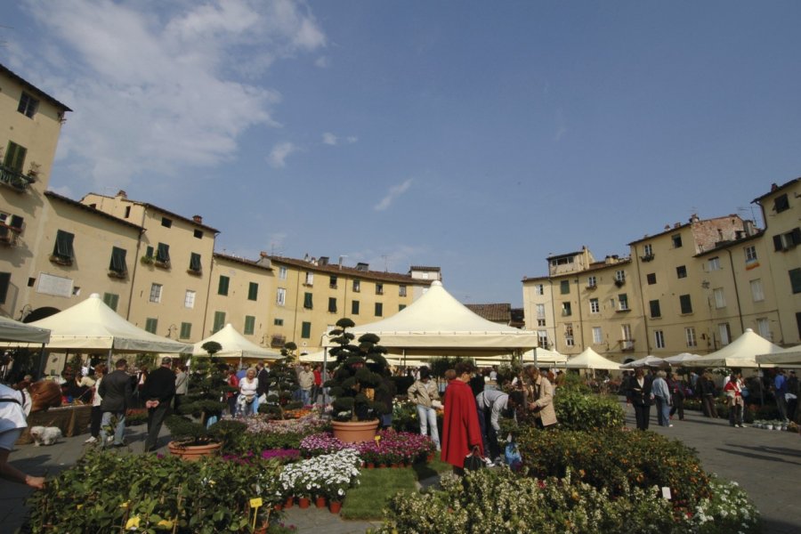 Piazza Anfiteatro. Picsofitalia.com