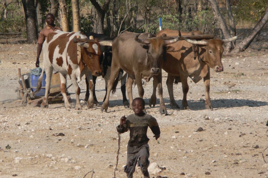 Au Mahango et Lianshulu, les enfants participent aux taches courantes. Ute von Ludwiger / Namibia Tourism - www.fotoseeker.com