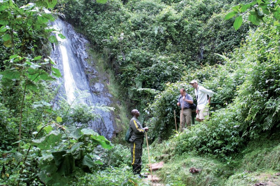 Cascade dans la forêt de Nyungwe. François JANNE D'OTHÉE