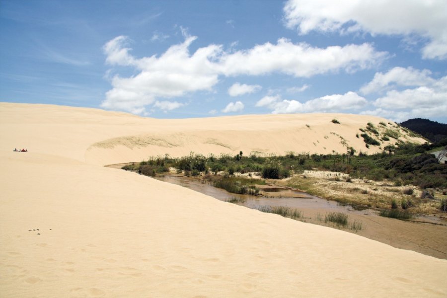 Te Paki Giant Sand Dunes. Martin - Fotolia
