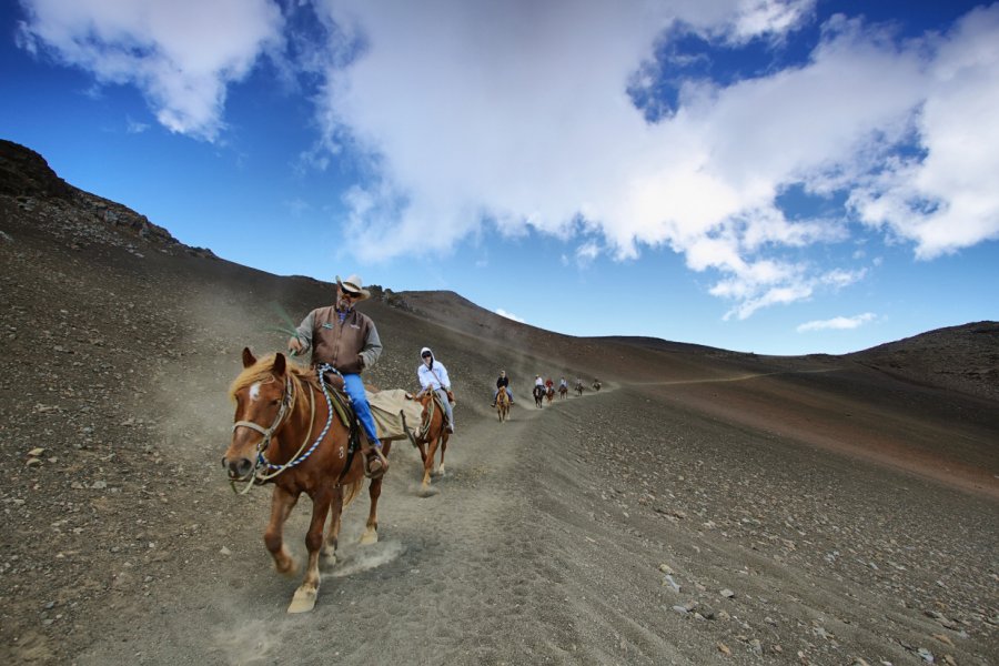 Randonnée à cheval, Haleakala National Park. Marisa Estivill - Shutterstock.com