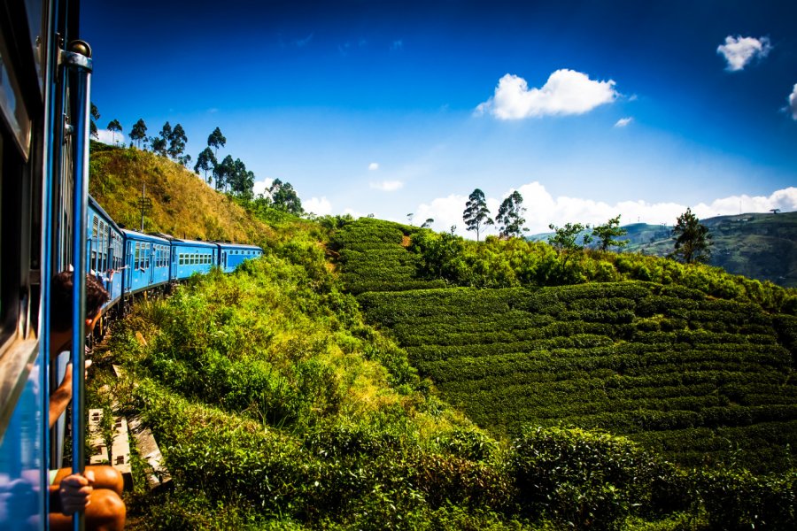 Train traversant les plantations de thé de Nuwara Eliya. Melinda Nagy - Shutterstock.com