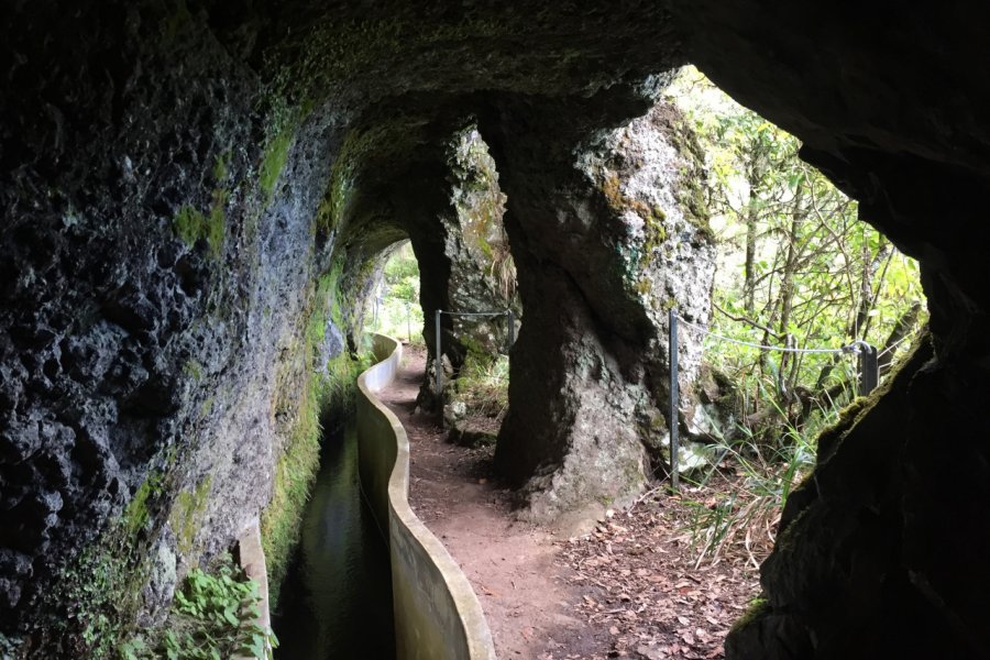 Levada Ribeiro Frio. Ludovic DE SOUSA