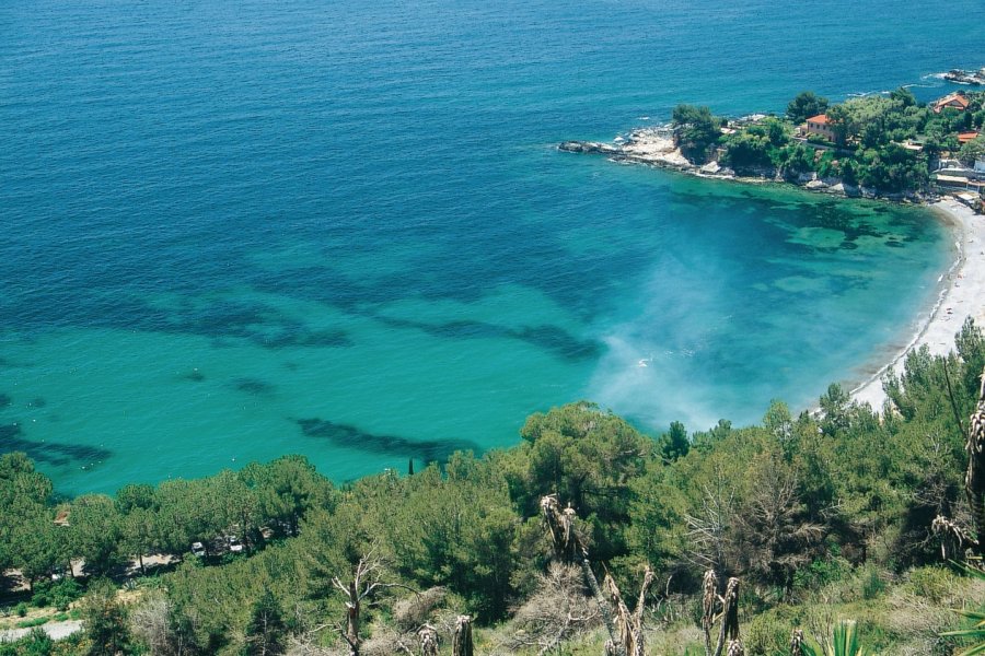 Côte de Vintimille - Capo Mortola. Archive Agenzia in Liguria