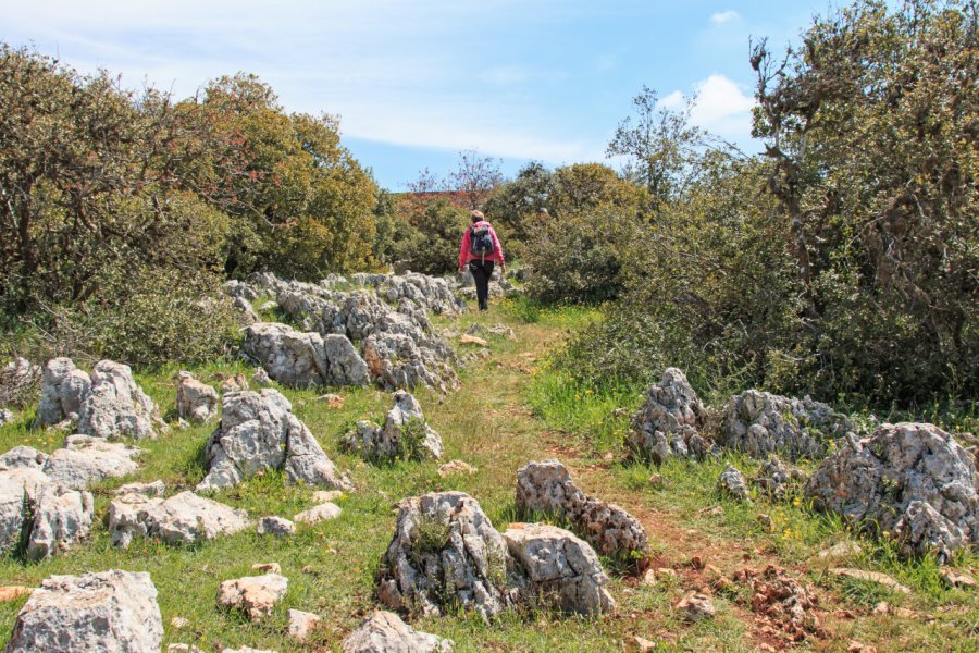 Randonnée dans la réserve naturelle d'Ajlun. outcast85 - Fotolia