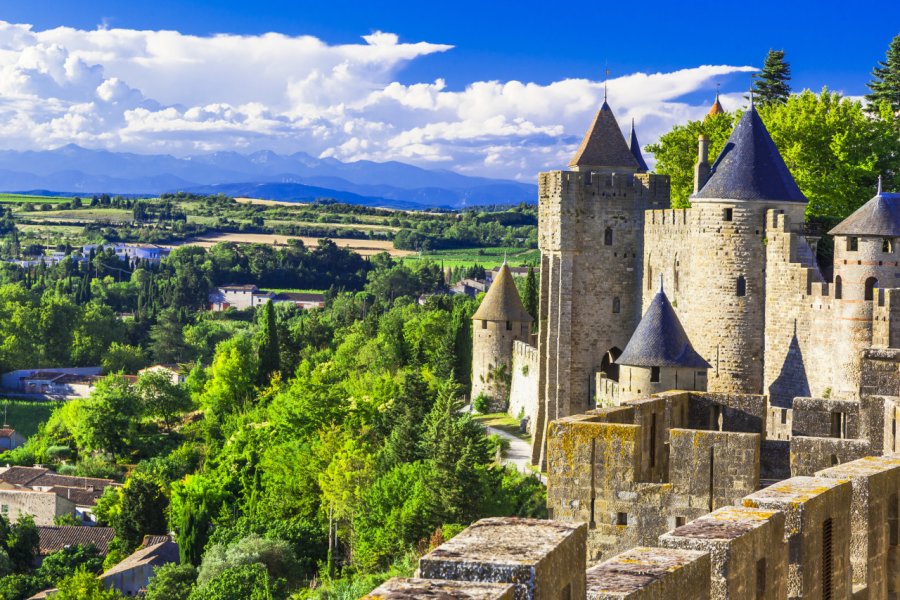 Château de Carcassonne. shutterstock.com -leoks