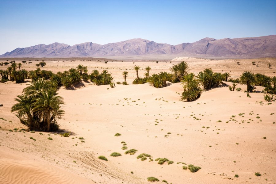 Paysage de l'Anti-Atlas, entre Tata et Taghjijt. Laurens Hoddenbagh - Shutterstock.com