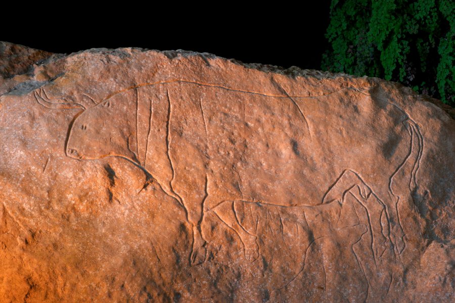 Peinture rupestre dans la grotte de Romito en Calabre. Dionisio iemma - Shutterstock.com