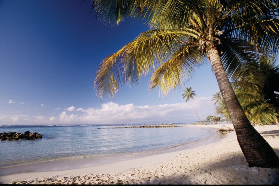 Plage de Sainte-Anne. (© Vincent FORMICA))