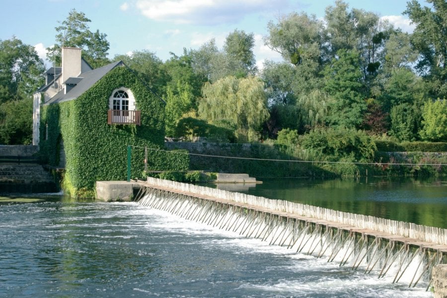 Passe à poisson sur la Loire (© Stéphan SZEREMETA))