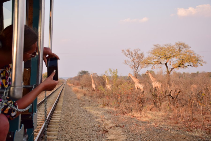 Victoria Falls