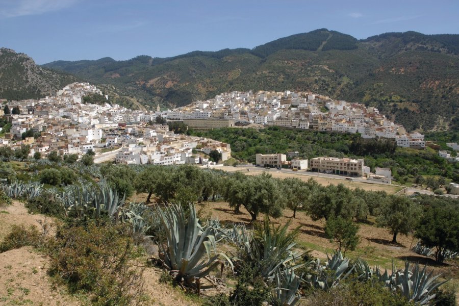 Ville sainte de Moulay Idriss. Sylvie Ligon