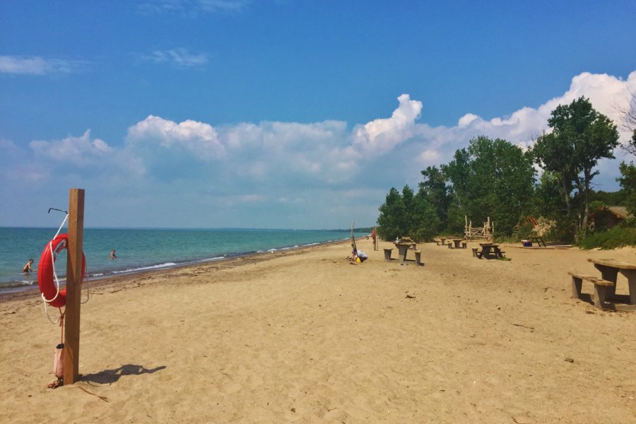 Plage sur les rive du lac Érié au parc national de la Pointe-Pelée. Valérie FORTIER