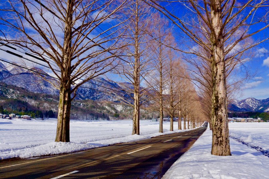 Paysage enneigé près de Takashima, Shiga. shutterstock - iamazim