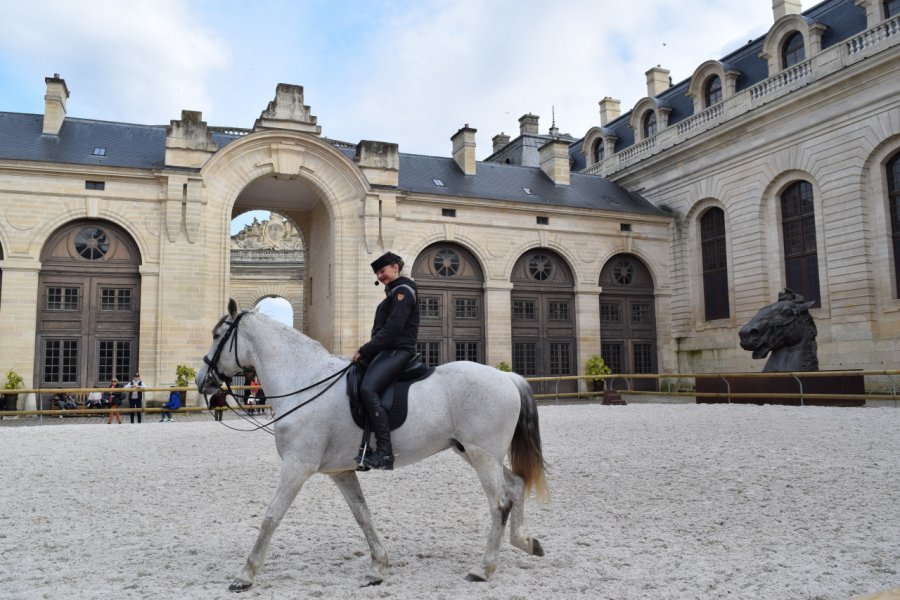 Les grandes écuries de Chantilly, la cité du cheval. Christophe TELLIER