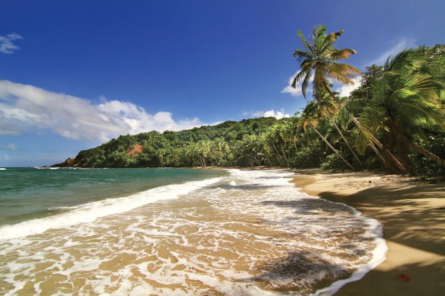 Plage de La Domonique. Gydyt0jas - iStockphoto