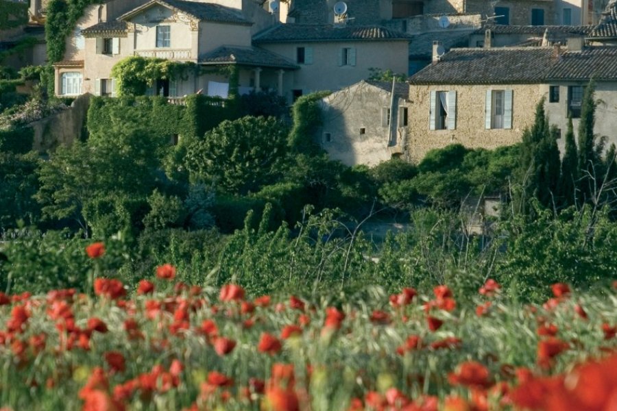 Champ de coquelicots au pied du village de Lourmarin (© OLIVIER TUFFÉ - FOTOLIA))