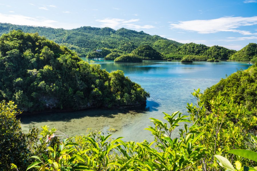 La côte de l'île Negros vers Sipalay. TravelGretl - Shutterstock.com