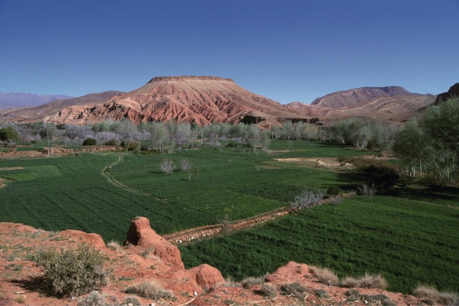 Vallée du Dadès. Author's Image