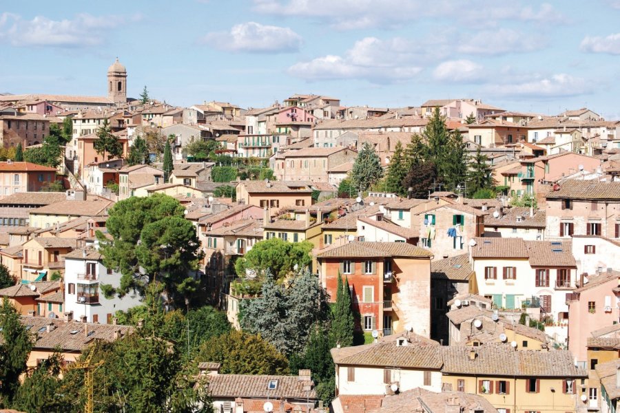 Perugia. Lulù - Fotolia