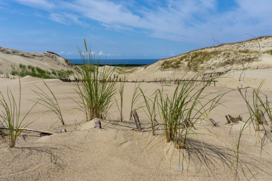 Isthme de Courlande. Anaducay - Shutterstock.com