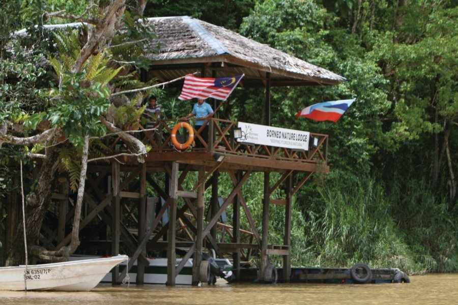 Observation des singes sur la rivière Kinabatangan Stéphan SZEREMETA