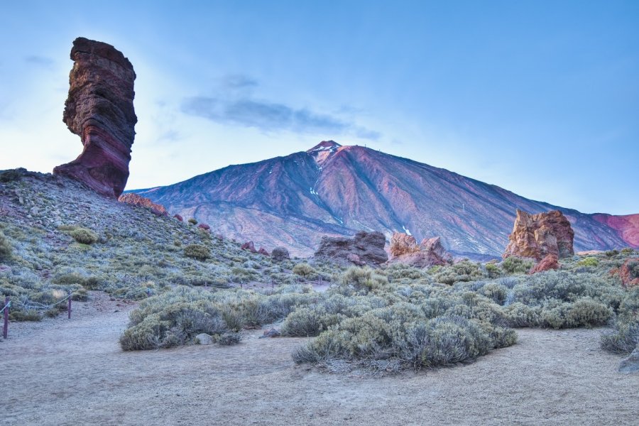 Las Cañadas del Teide, Parc national du Teide. Anibal Trejo - Shutterstock.com