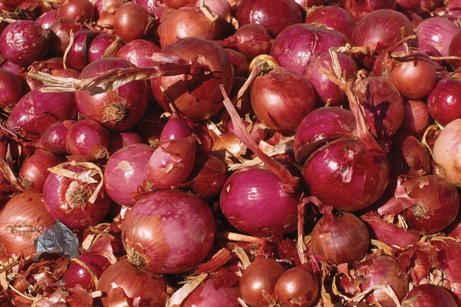 Marché de Zagora. Author's Image