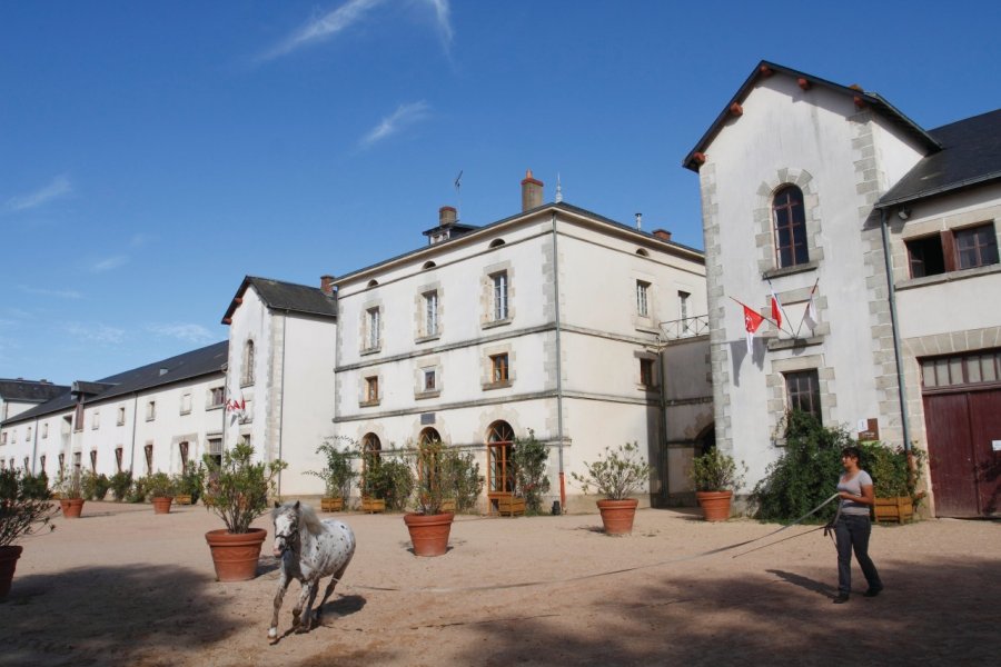 Haras de la Vendée David Frugère