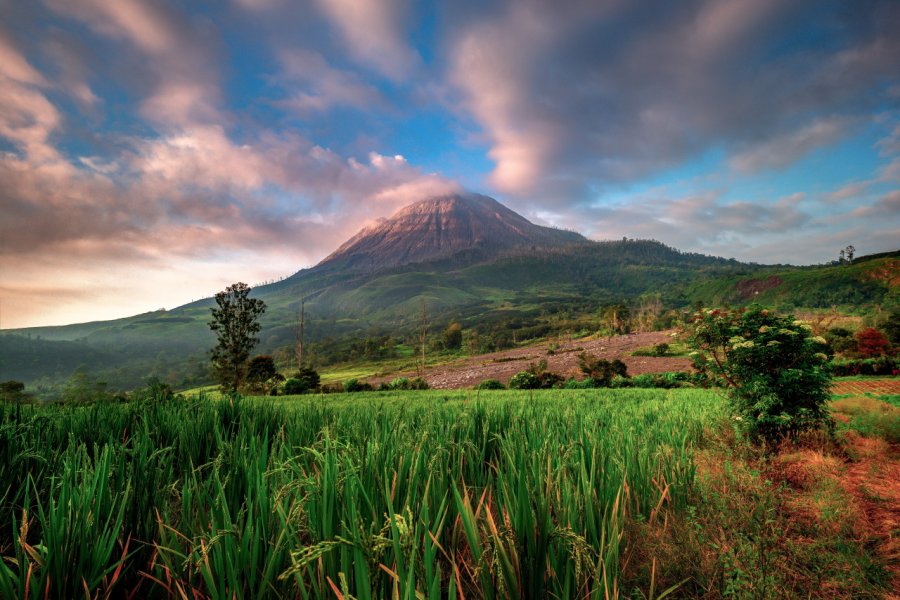 Le mont Sinabung sur l'île de Sumatra. Dhevanraj Segar - Shutterstock.com
