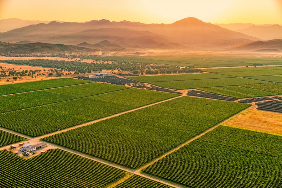 Domaine viticole de Plantaze. OPIS Zagreb - Shutterstock.com